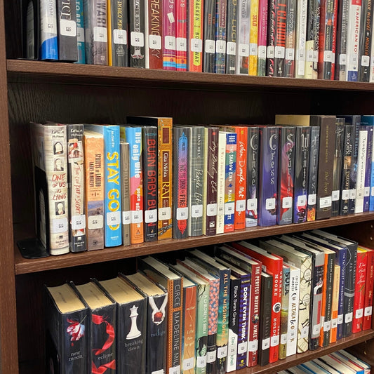 Pre-loved Fantasy Book Rescue Bundle